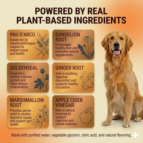 Pawly™ - Natural Yeast Relief